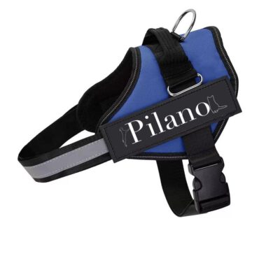 Arnés reflectante PILANO AZUL talla XXL